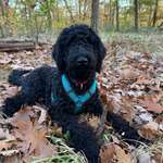 Ersteller:in Rike Profilbild