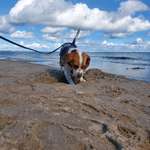 Ersteller:in Stefanie Profilbild