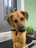 Érbrechen beim Autofahren-Beitrag-Bild