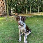 Ersteller:in Anja Profilbild