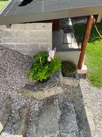 Garten: Geräte etc. zur Beschäftigung-Beitrag-Bild