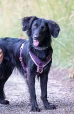 Was steckt drin?-Beitrag-Bild