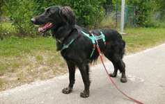 Was steckt drin?-Beitrag-Bild