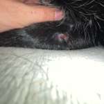 hotspot? leckgranulom? oder doch ernster?-Beitrag-Bild