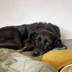 Ersteller:in Alexandra Profilbild