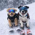 Ersteller:in Brigitte Profilbild