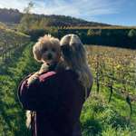 Ersteller:in Alina Profilbild