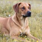 Ersteller:in Julia Profilbild