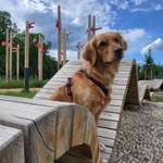 Ersteller:in Susann Profilbild