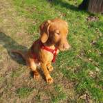 Ersteller:in Jessica Profilbild