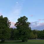 Hundeauslaufgebiet-Hirschgarten-Bild