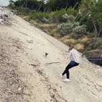 Ersteller:in Anna Profilbild