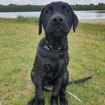 Ersteller:in Manuela Profilbild