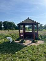 Hundeauslaufgebiet-Lohe Hundewiese-Bild