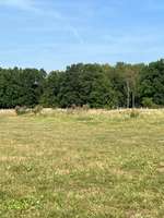 Hundeauslaufgebiet-Lohe Hundewiese-Bild