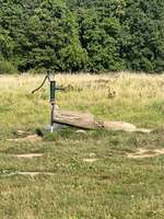 Hundeauslaufgebiet-Lohe Hundewiese-Bild