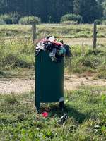 Hundeauslaufgebiet-Lohe Hundewiese-Bild