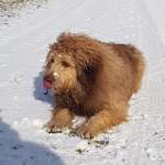 Ersteller:in Anke Profilbild