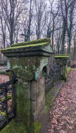 Hundeauslaufgebiet-Wald des Saarländischen Rundfunk-Bild