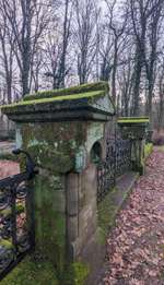 Hundeauslaufgebiet-Wald des Saarländischen Rundfunk-Bild