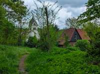 Hundeauslaufgebiet-Wald des Saarländischen Rundfunk-Bild