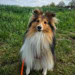 Ersteller:in Jo Profilbild