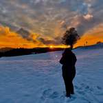 Ersteller:in Zita Profilbild