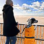 Ersteller:in Jenny Profilbild