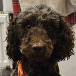 Ersteller:in Caren Profilbild