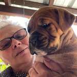 Ersteller:in Mona Profilbild