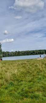 Hundeauslaufgebiet-Hundestrand Auesee-Bild