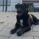 Ersteller:in Ann-Kathrin Profilbild