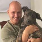 Ersteller:in Dominik Profilbild