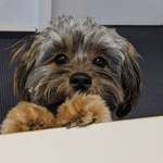 Ersteller:in Nadine Profilbild