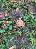 Giftköder?-Beitrag-Bild