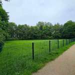 Hundeauslaufgebiet-Hundewiese Saarner Str./Böllerts Höfe-Bild