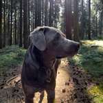 Ersteller:in Vural Profilbild