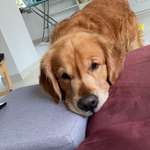 Ersteller:in Eve Profilbild