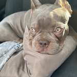 Ersteller:in Nurjin Profilbild