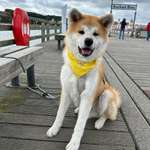 Ersteller:in Josi Profilbild