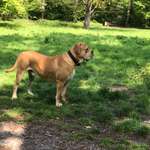 Ersteller:in Frank Profilbild