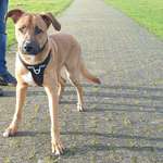 Ersteller:in Maren Profilbild