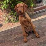 Ersteller:in Gerwin Profilbild