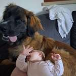 Ersteller:in Manuela Profilbild