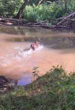 Hundeauslaufgebiet-An der Itz-Bild