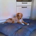 Ersteller:in Andrea Profilbild