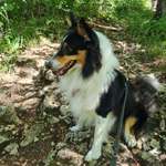 Ersteller:in Astrid Profilbild