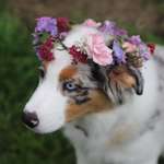 Ersteller:in Mahshid Profilbild