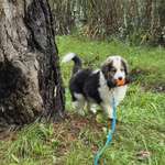 Ersteller:in Martina Profilbild