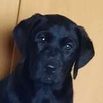 Ersteller:in Lina Profilbild